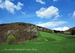 Bildband „Im Hügelland: Elfringhauser Schweiz und Umgebung"