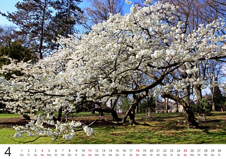 Kalender 2027 „Bochum beeindruckt!"